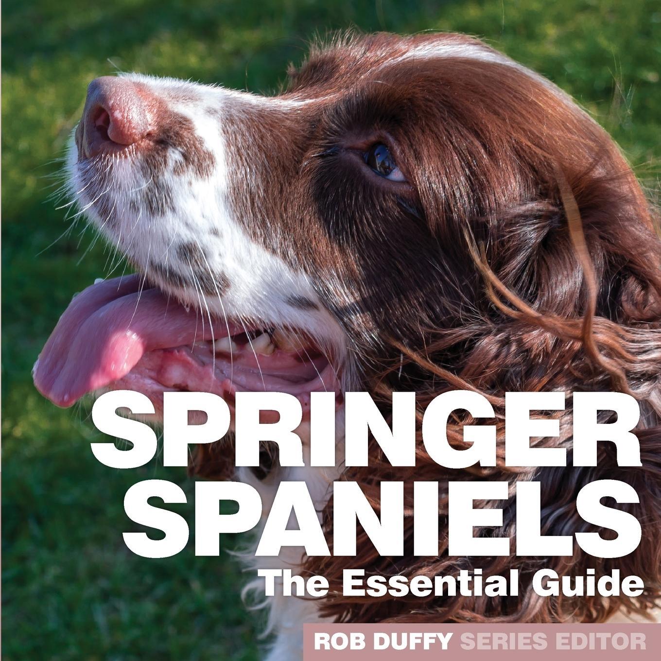 Cover: 9781910843437 | Springer Spaniels | The Essential Guide | Robert Duffy | Taschenbuch