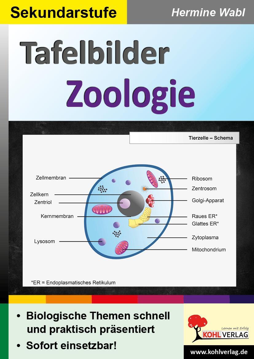 Cover: 9783985583201 | Tafelbilder Zoologie | Hermine Wabl | Taschenbuch | Deutsch | 2023