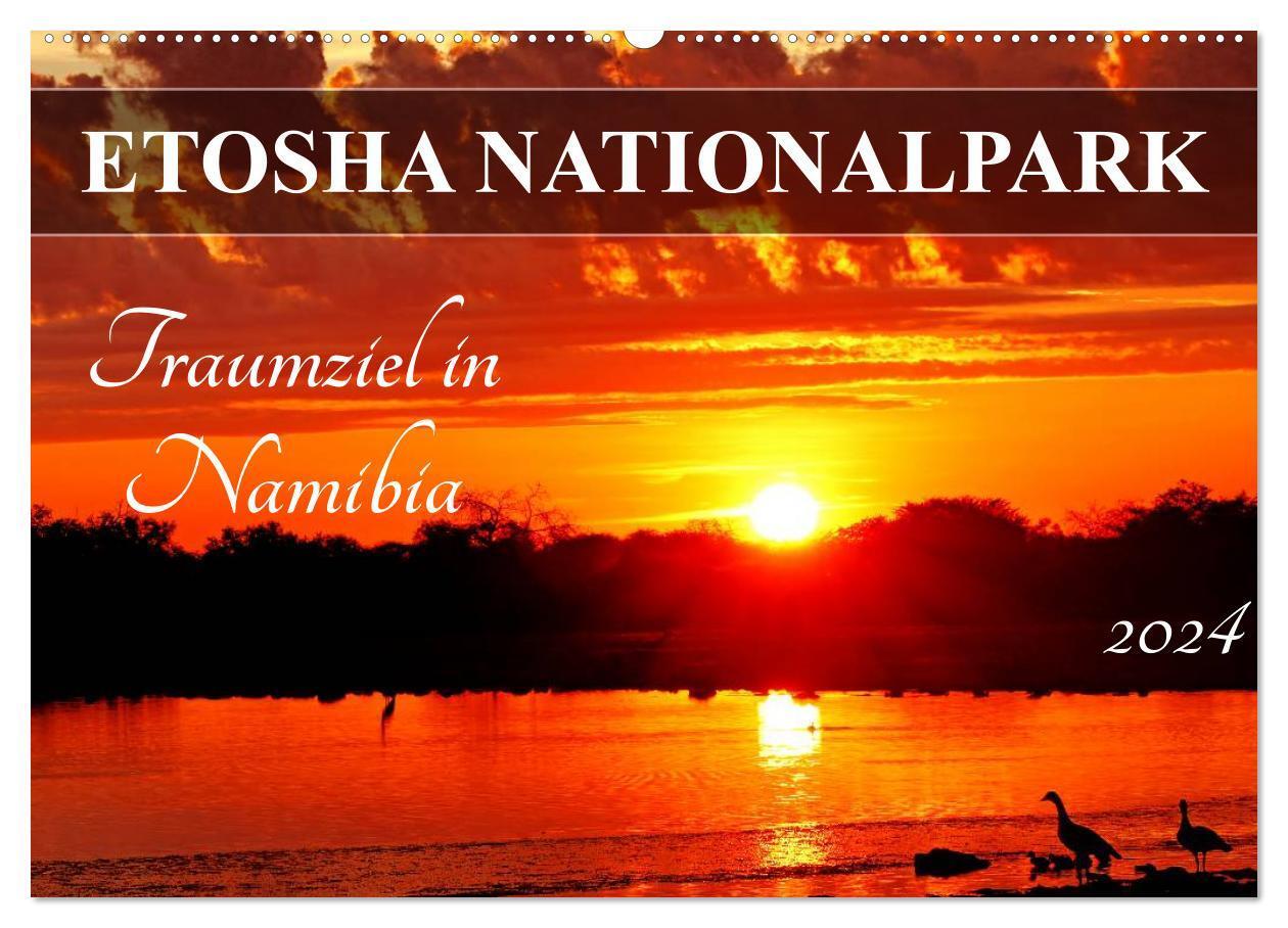 Cover: 9783383250347 | ETOSHA NATIONALPARK Traumziel in Namibia (Wandkalender 2024 DIN A2...