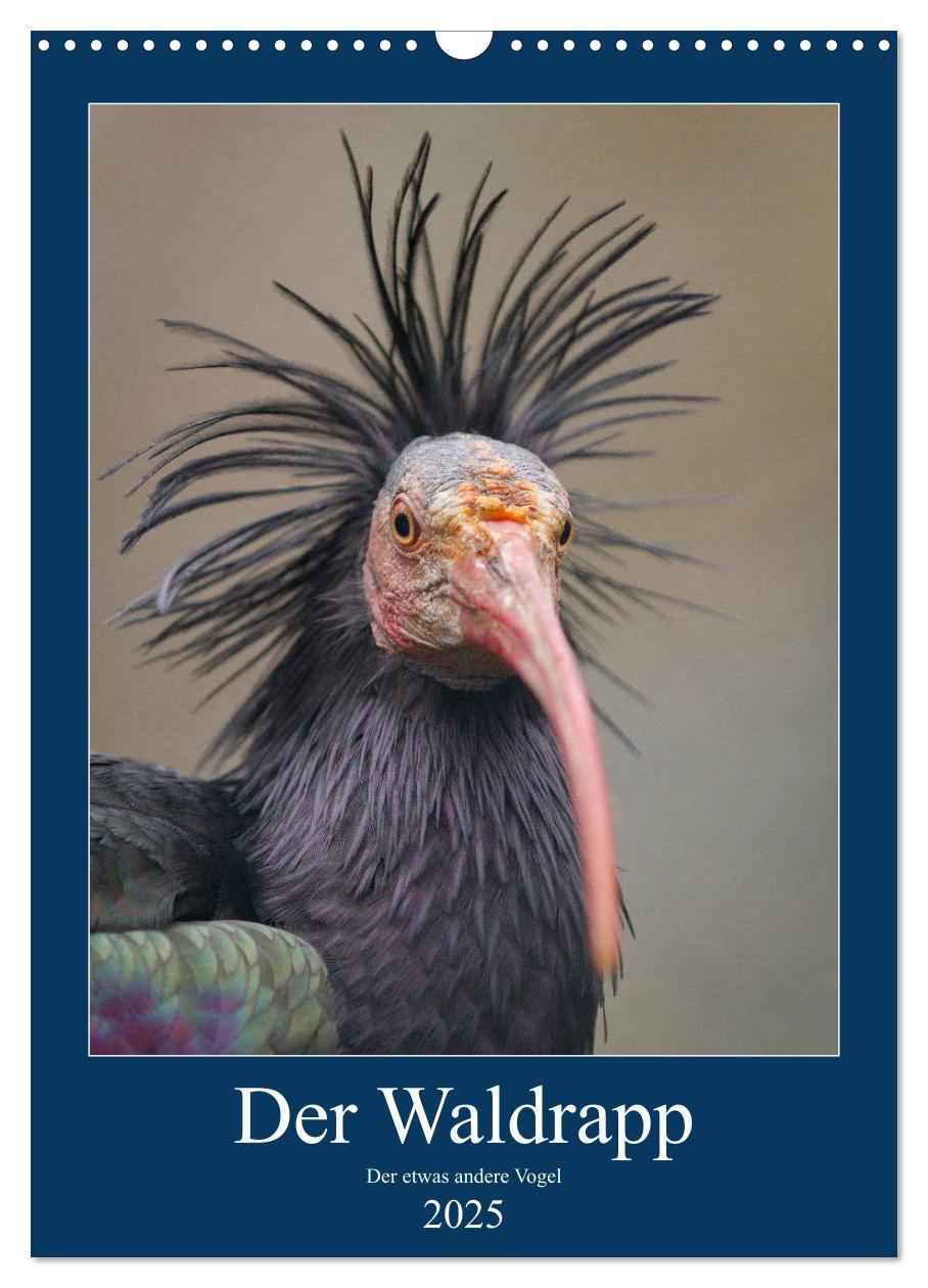 Cover: 9783435943678 | Der Waldrapp - Der etwas andere Vogel (Wandkalender 2025 DIN A3...