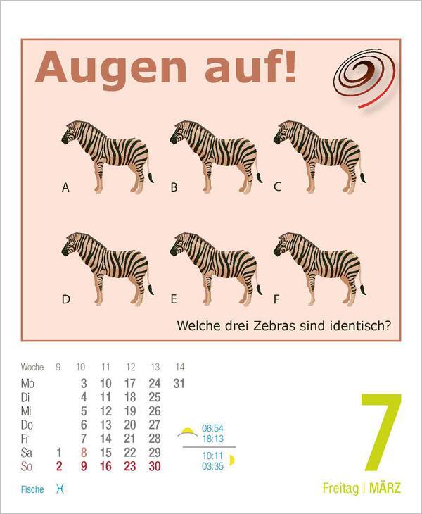 Bild: 9783731877387 | Gehirnjogging 2025 | Verlag Korsch | Kalender | 328 S. | Deutsch
