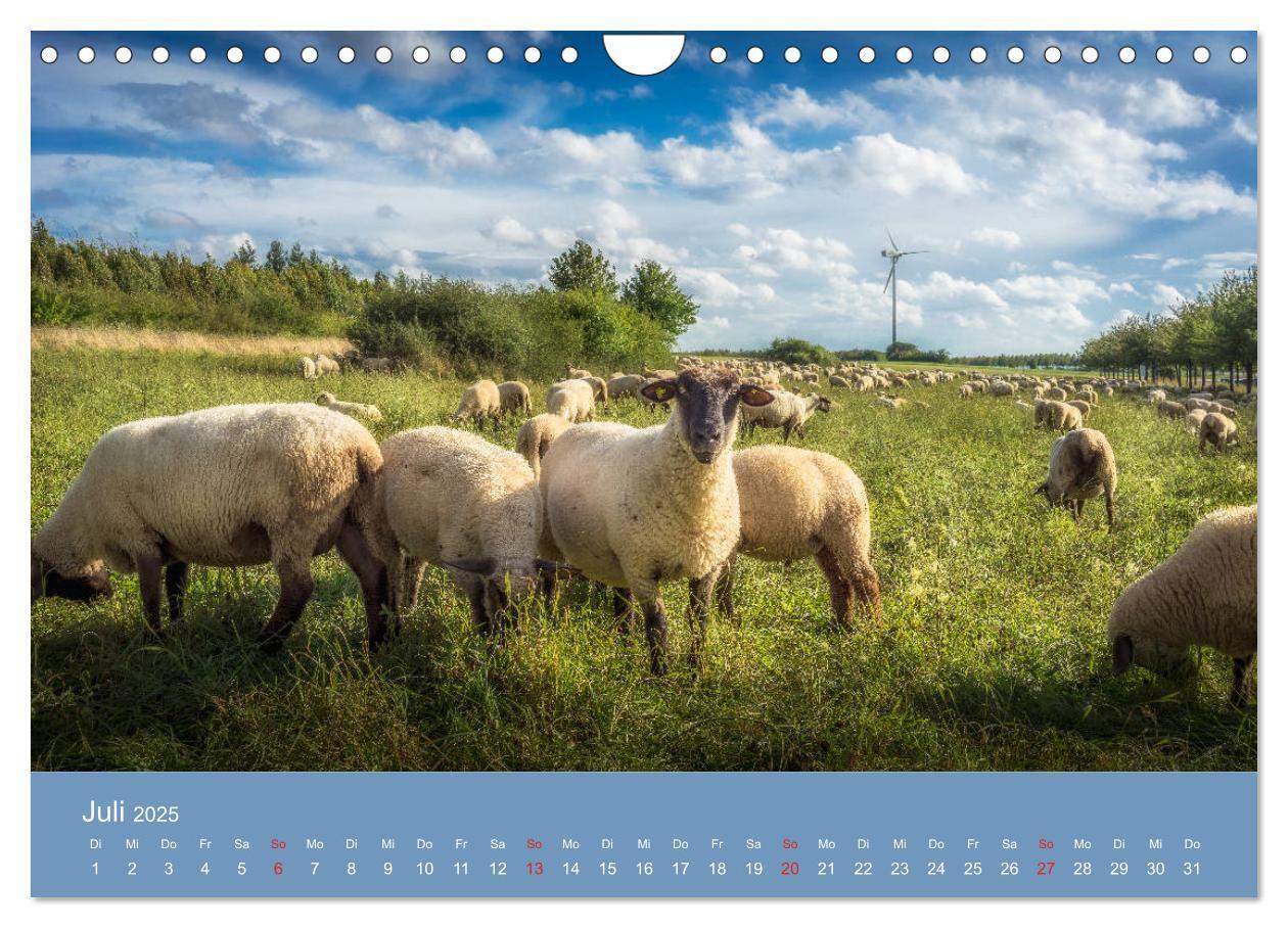 Bild: 9783435226283 | Kronsberg Hannover (Wandkalender 2025 DIN A4 quer), CALVENDO...