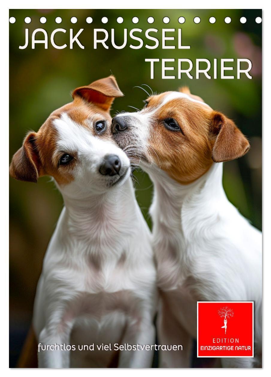 Cover: 9783383778865 | Jack Russel Terrier - furchtlos und viel Selbstvertrauen...