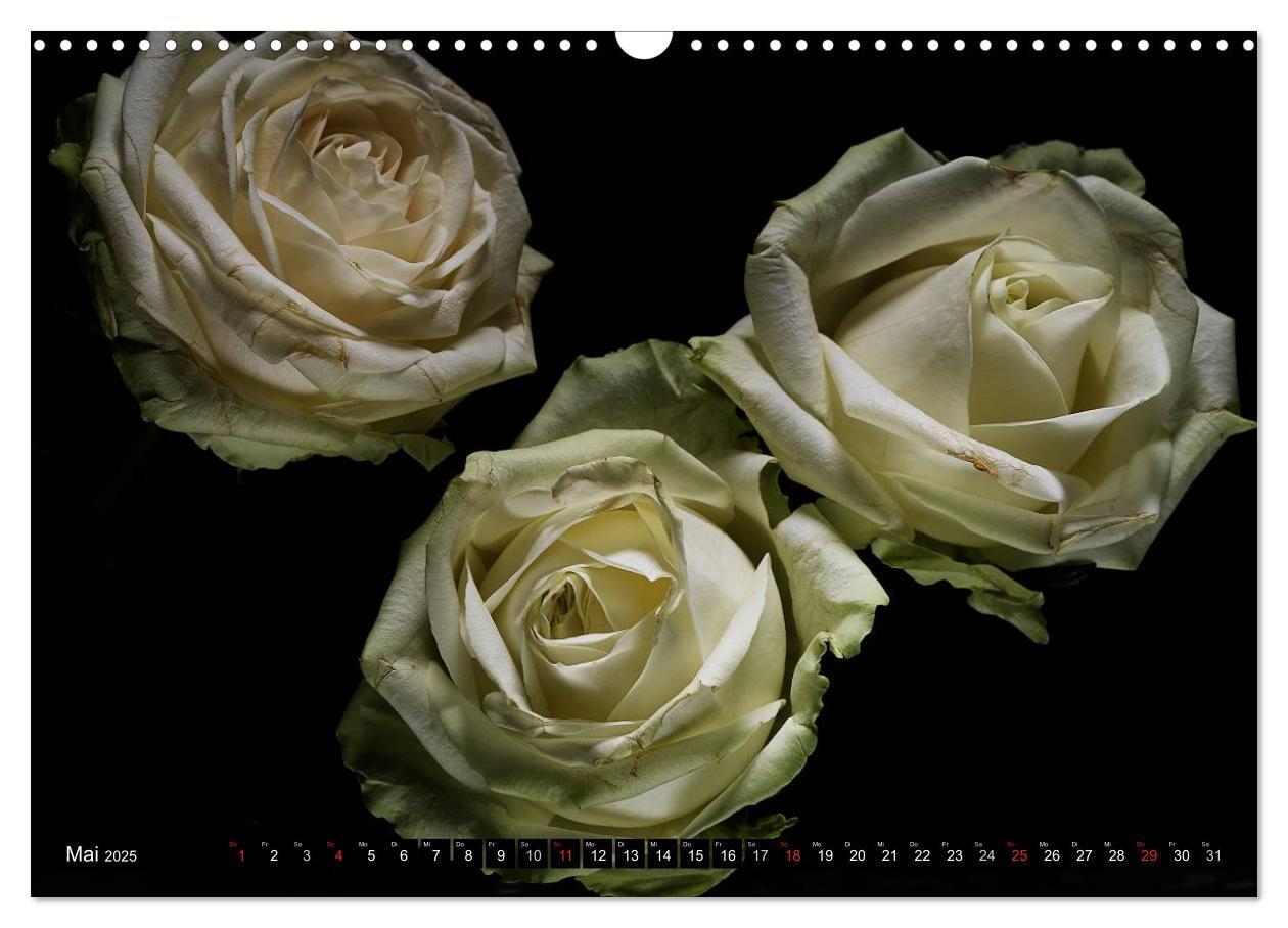 Bild: 9783435770274 | Flowers / 2025 (Wandkalender 2025 DIN A3 quer), CALVENDO...