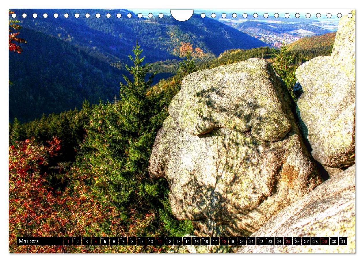 Bild: 9783435582365 | Verzauberter Harz (Wandkalender 2025 DIN A4 quer), CALVENDO...