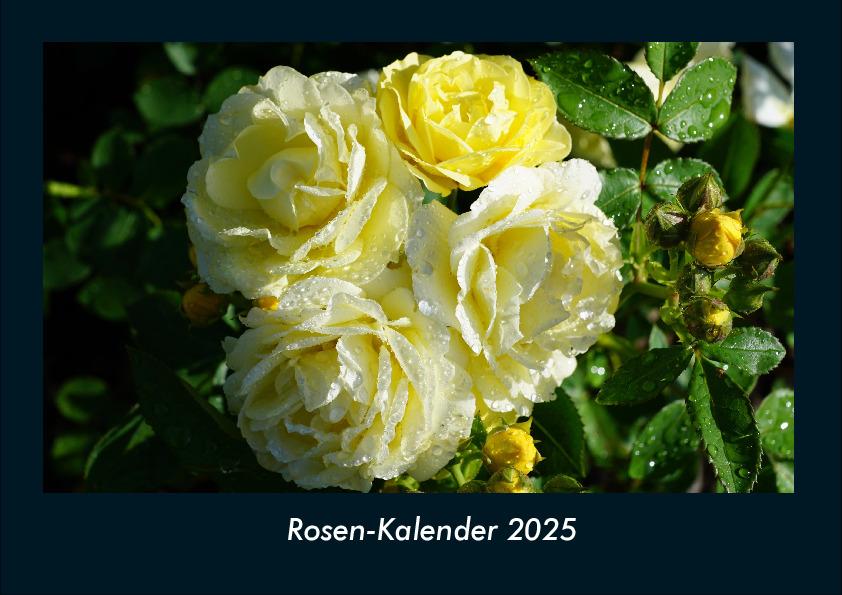 Cover: 9783755970637 | Rosen-Kalender 2025 Fotokalender DIN A4 | Tobias Becker | Kalender