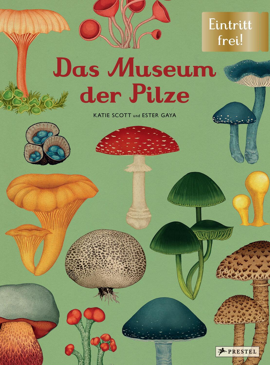 Cover: 9783791374529 | Das Museum der Pilze | Eintritt frei! | Ester Gaya (u. a.) | Buch