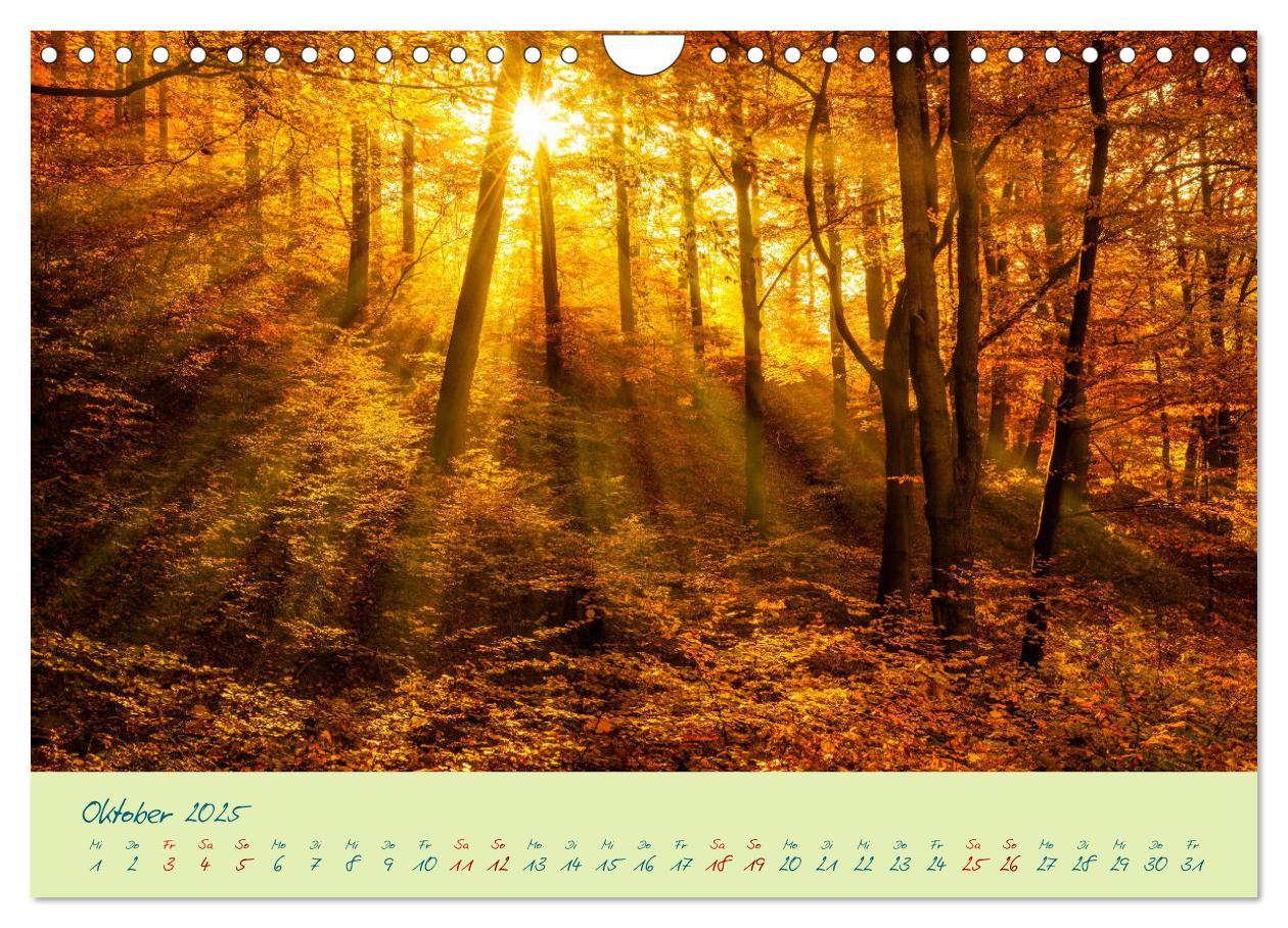 Bild: 9783435185733 | Harz Natur pur und Weltkulturerbe (Wandkalender 2025 DIN A4 quer),...