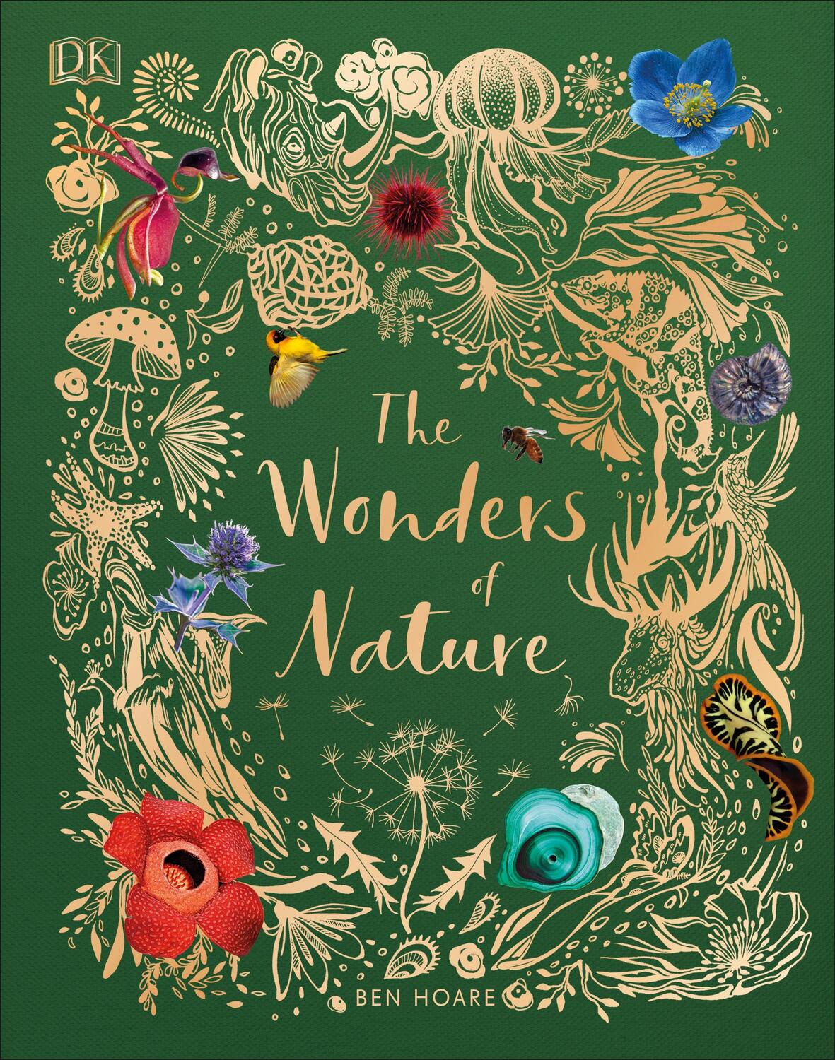 Cover: 9780241386217 | The Wonders of Nature | Ben Hoare | Buch | Englisch | 2019