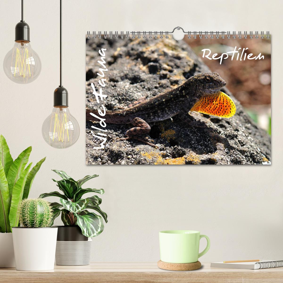 Bild: 9783435793471 | Wilde Fauna - Reptilien (Wandkalender 2025 DIN A4 quer), CALVENDO...