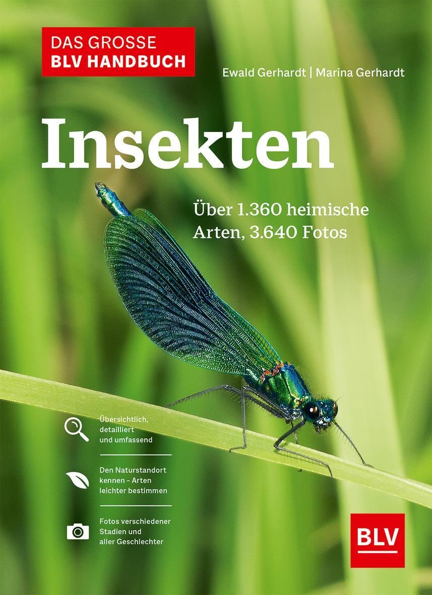 Cover: 9783967470482 | Das große BLV Handbuch Insekten | Marina Gerhardt (u. a.) | Buch | BLV
