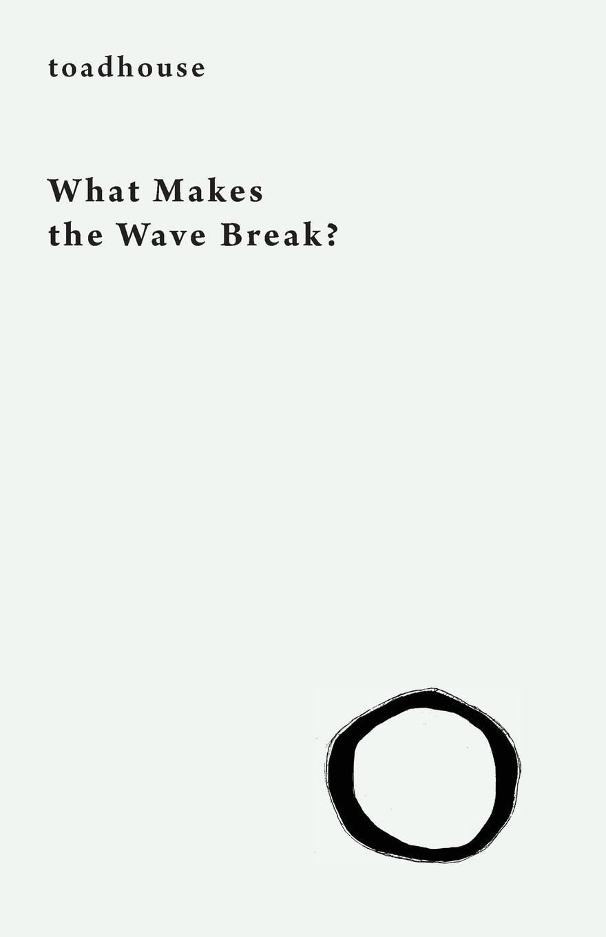 Cover: 9781645250203 | What Makes the Wave Break? | Toadhouse (u. a.) | Taschenbuch | 2020