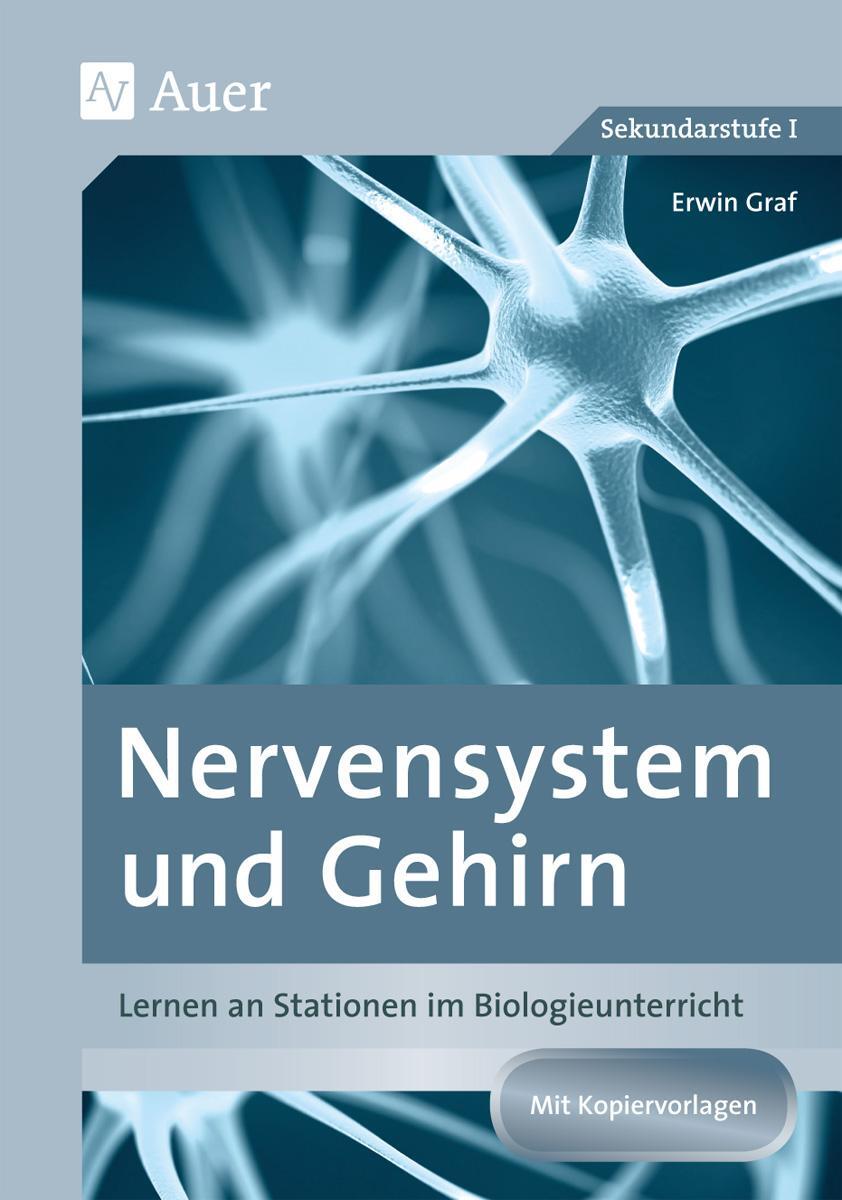 Cover: 9783403079293 | Nervensystem und Gehirn | Erwin Graf | Broschüre | Deutsch | 2017