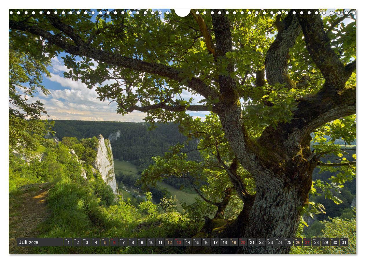 Bild: 9783383895289 | Große Landschaft Obere Donau (Wandkalender 2025 DIN A3 quer),...