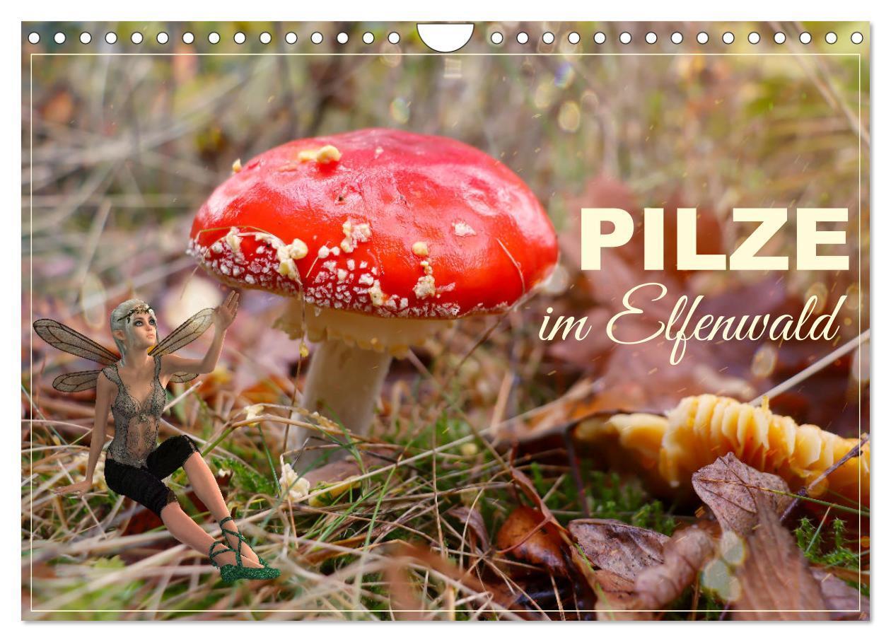 Cover: 9783675620056 | Pilze im Elfenwald (Wandkalender 2024 DIN A4 quer), CALVENDO...