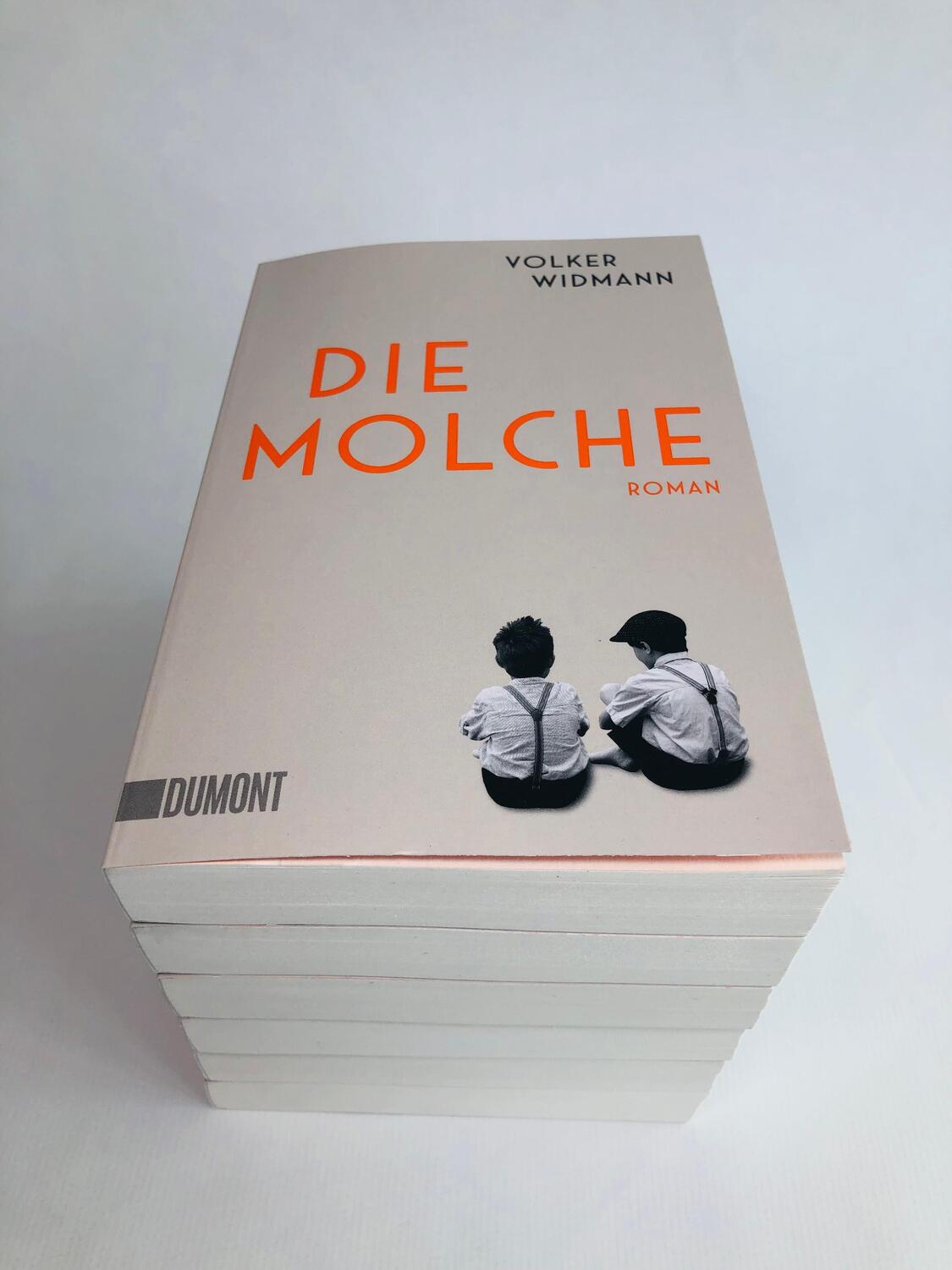 Bild: 9783832166779 | Die Molche | Roman | Volker Widmann | Taschenbuch | Deutsch | 2023