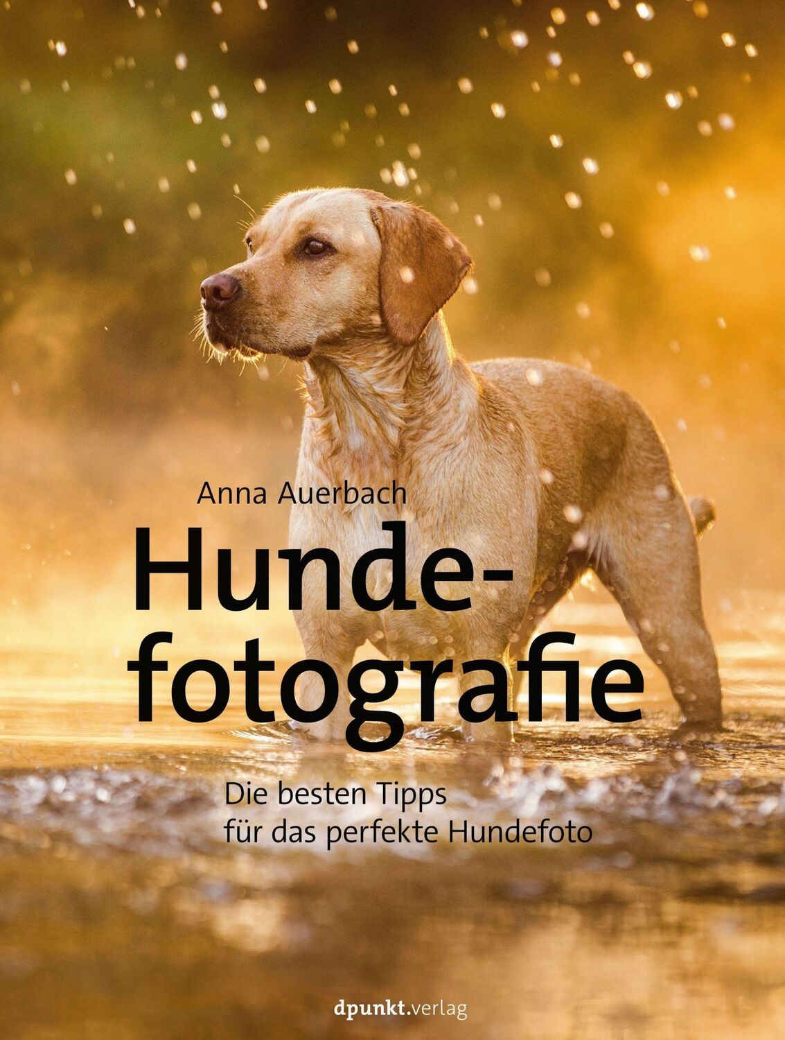 Cover: 9783864906909 | Hundefotografie | Die besten Tipps für das perfekte Hundefoto | Buch