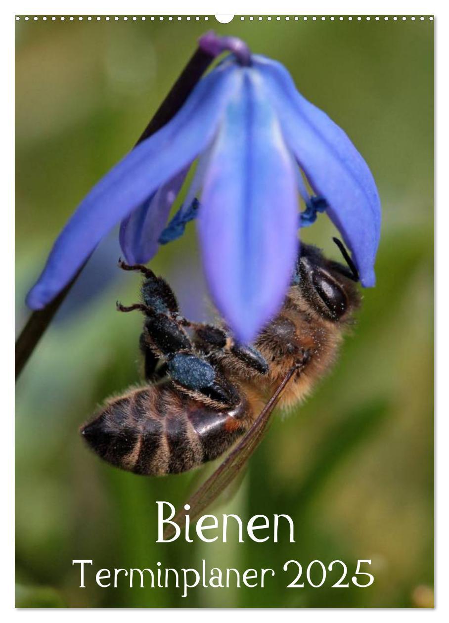 Cover: 9783457030011 | Bienen-Terminplaner 2025 (Wandkalender 2025 DIN A2 hoch), CALVENDO...