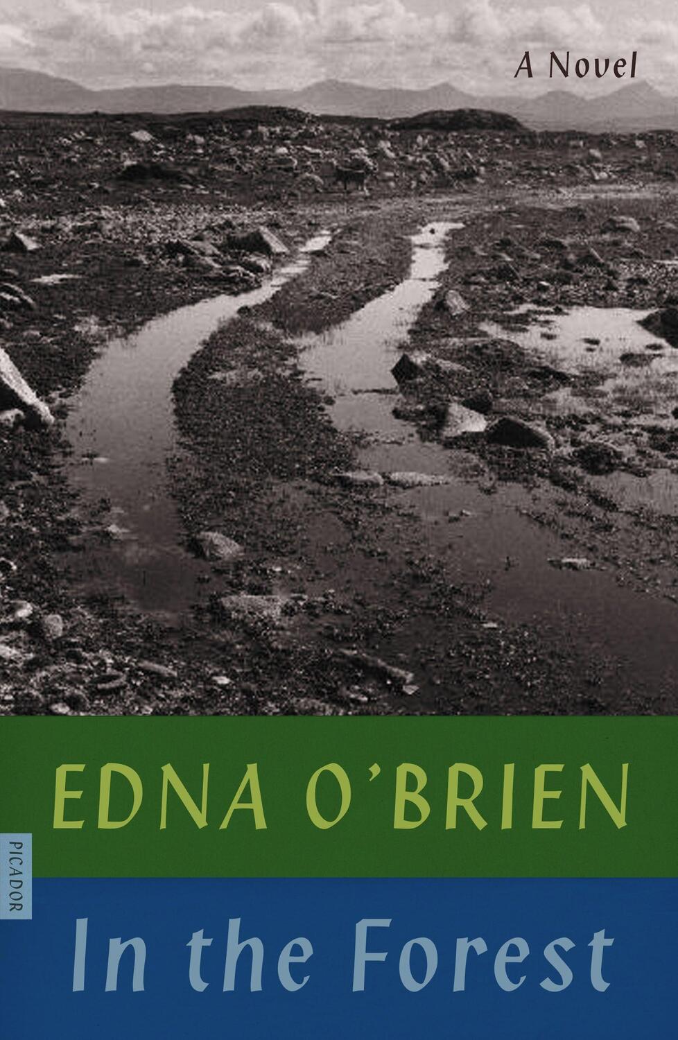 Cover: 9780374538774 | In the Forest | Edna O'Brien | Taschenbuch | Kartoniert / Broschiert