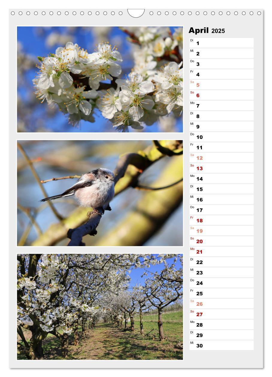 Bild: 9783435889280 | Zauberhafte Farben der Natur (Wandkalender 2025 DIN A3 hoch),...