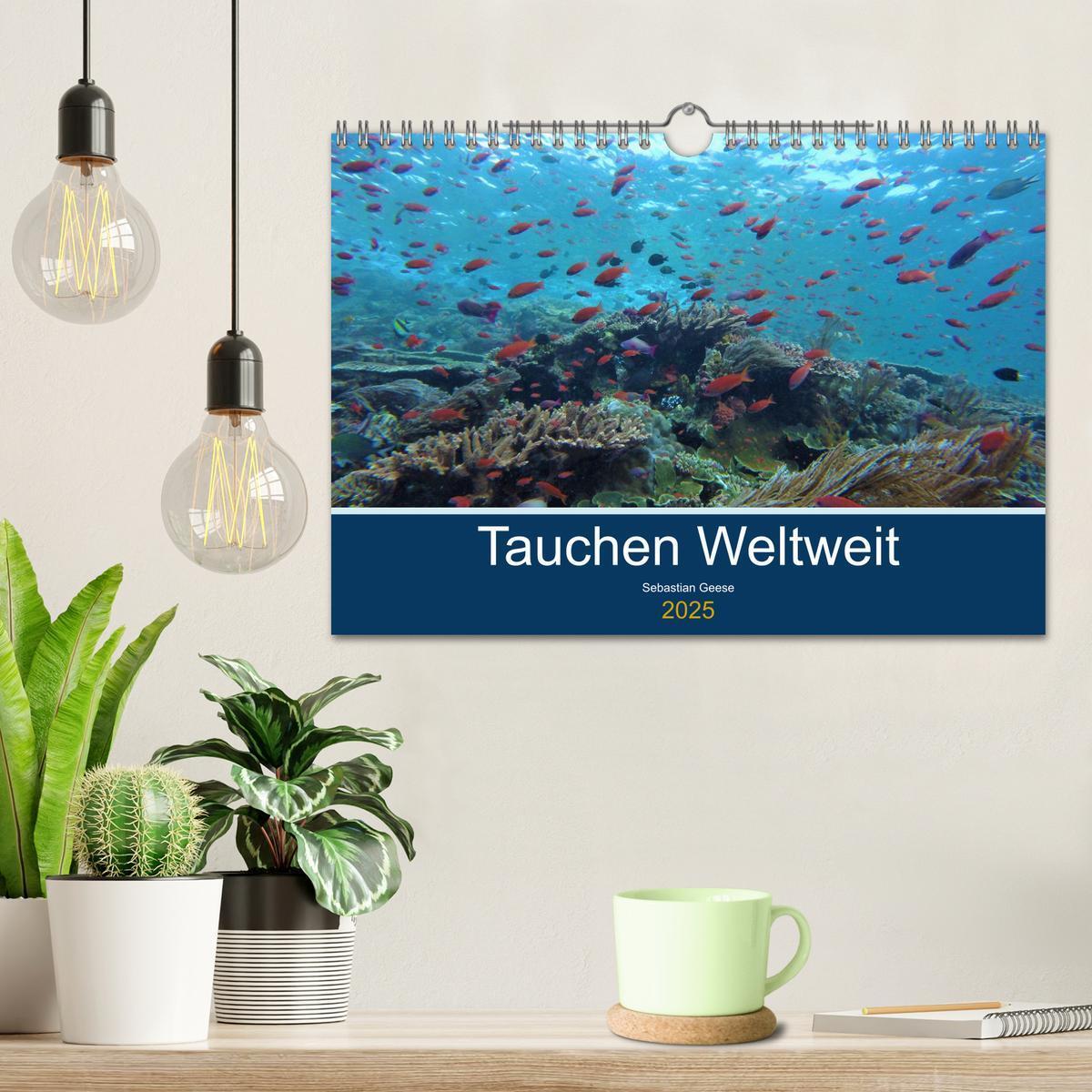 Bild: 9783435096664 | Tauchplätze Weltweit (Wandkalender 2025 DIN A4 quer), CALVENDO...