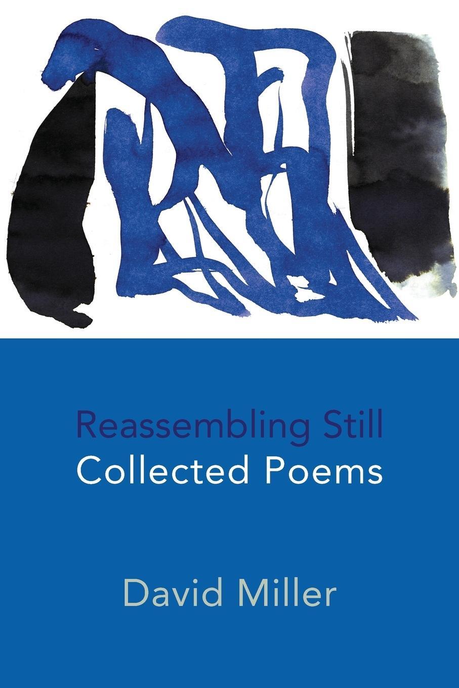 Cover: 9781848613317 | Reassembling Still | Collected Poems | David Miller | Taschenbuch