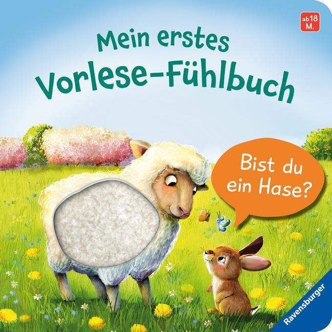 Cover: 9783473416875 | Mein erstes Vorlese-Fühlbuch: Bist du ein Hase? | Kathrin Lena Orso