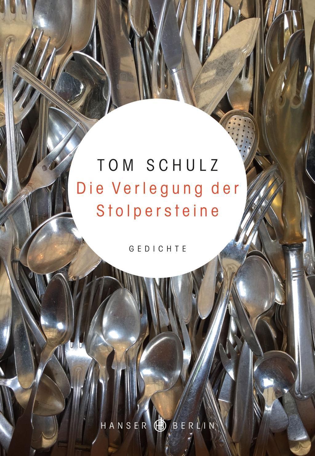 Cover: 9783446254688 | Die Verlegung der Stolpersteine | Gedichte | Tom Schulz | Buch | 2017
