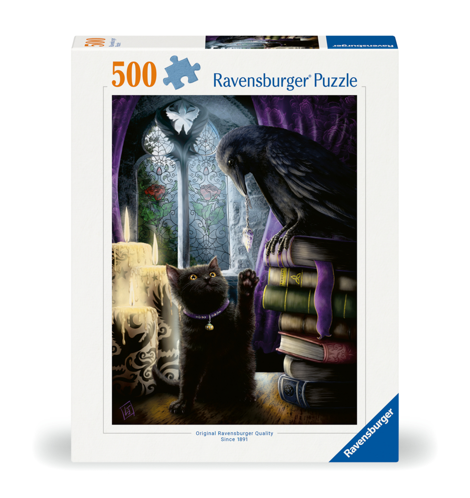 Cover: 4005555003144 | Rabe und Katze im Turmzimmer | Spiel | 60031400 | Deutsch | 2024