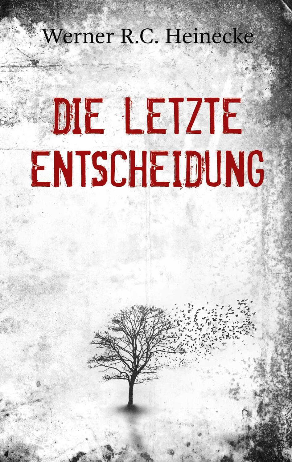 Cover: 9783750451148 | Die letzte Entscheidung | Werner R.C. Heinecke | Taschenbuch