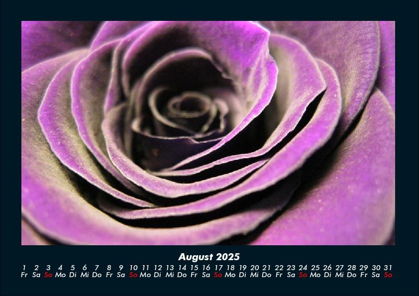 Bild: 9783755981671 | Rosen-Kalender 2025 Fotokalender DIN A4 | Tobias Becker | Kalender