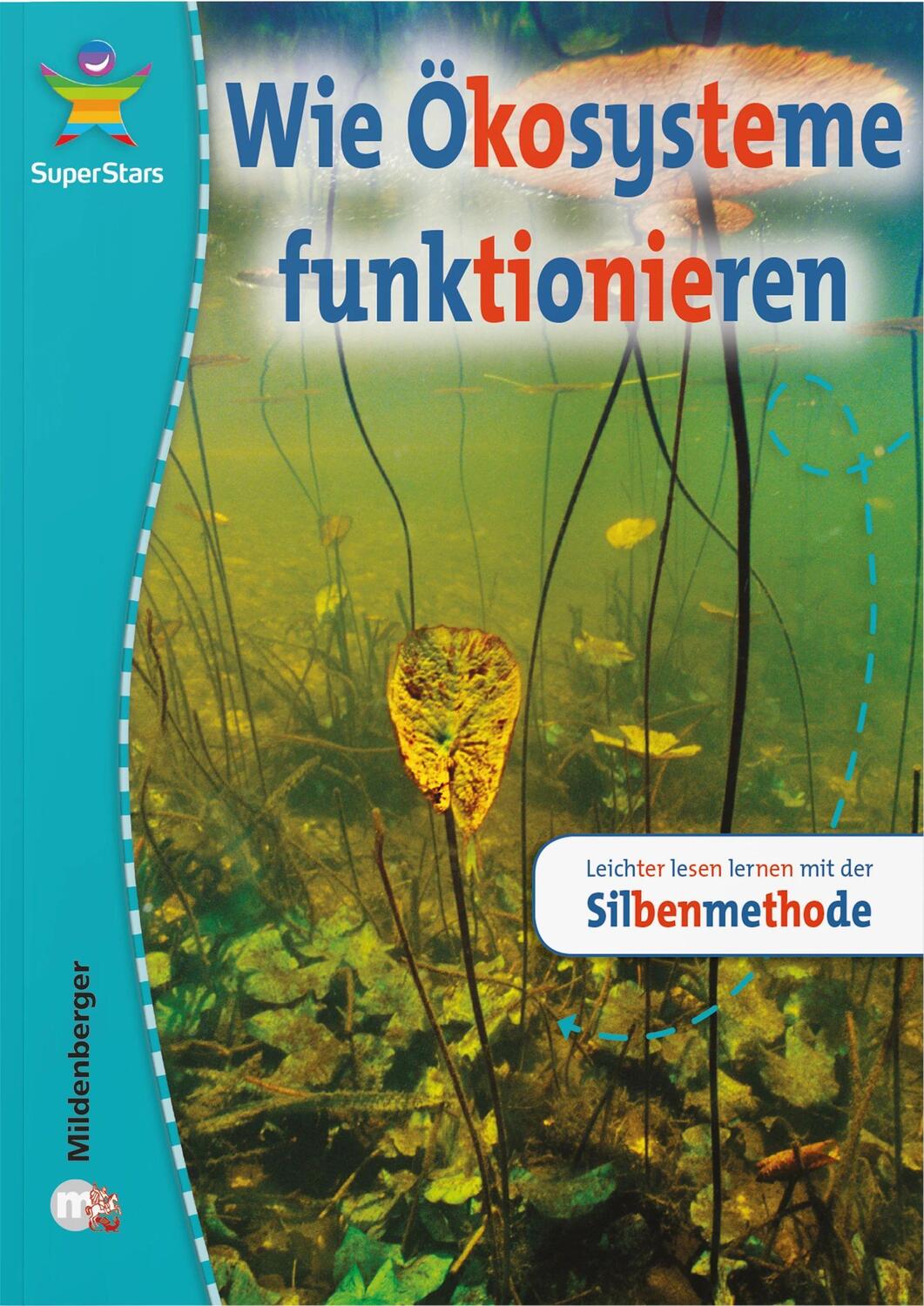 Cover: 9783619242436 | SuperStars - Wie Ökosysteme funktionieren | Taschenbuch | 24 S. | 2011