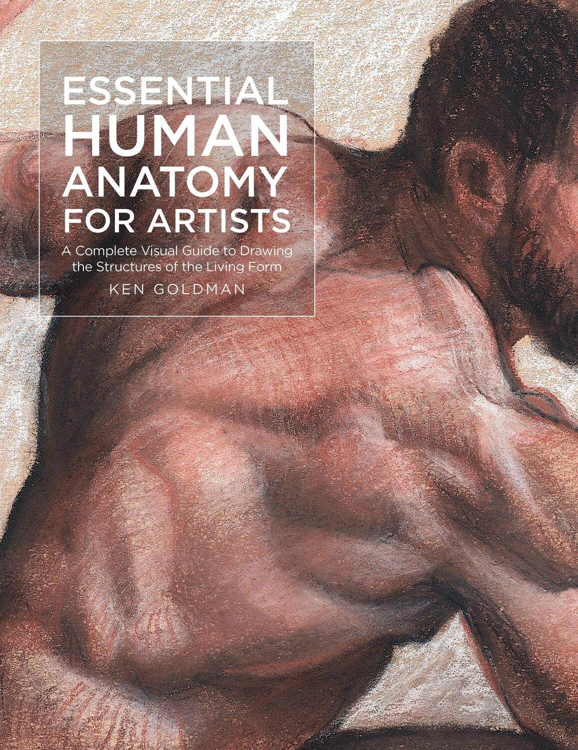 Cover: 9781631599590 | Essential Human Anatomy for Artists | Ken Goldman | Taschenbuch | 2023
