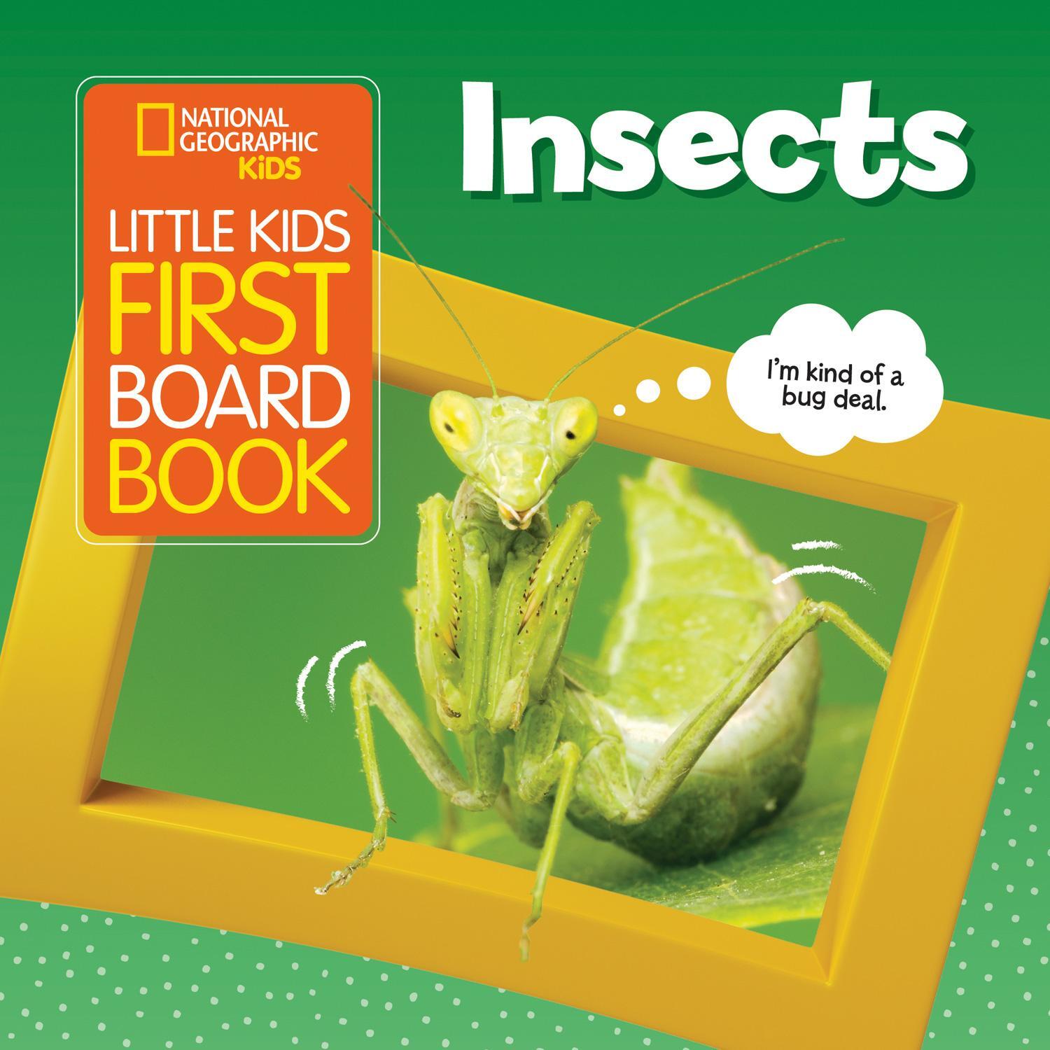 Cover: 9781426339028 | Little Kids First Board Book: Insects | Ruth A. Musgrave | Buch | 2020