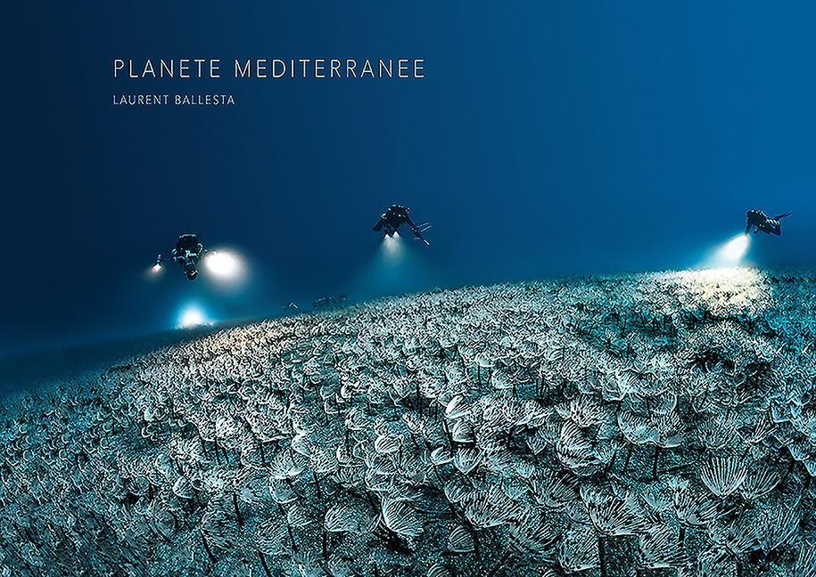 Cover: 9782490952106 | Mediterranean Planet | Buch | Englisch | 2021 | ED HEMERIA