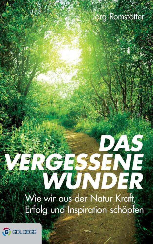 Cover: 9783902991614 | Das vergessene Wunder | Jörg Romstötter | Buch | 2015 | Goldegg
