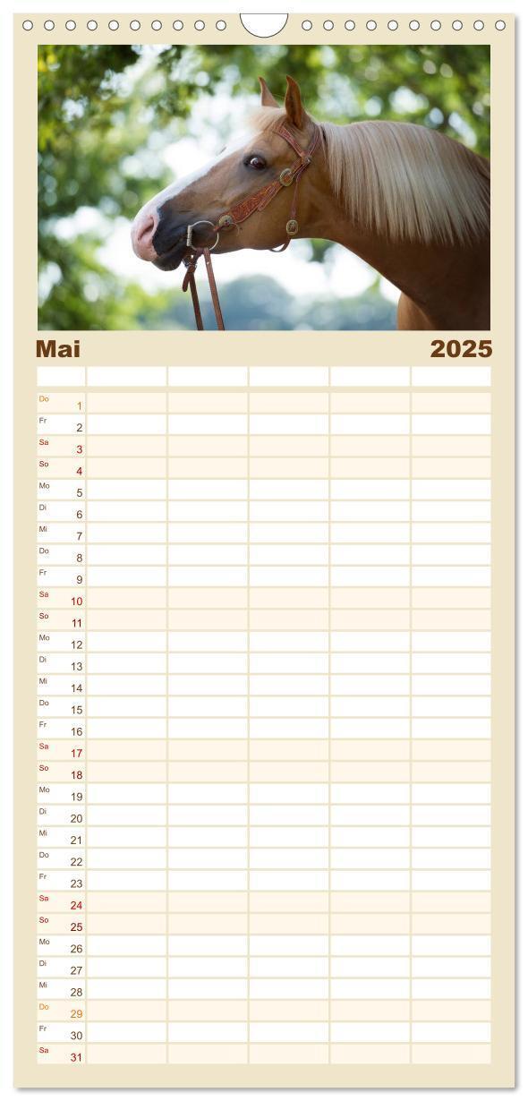 Bild: 9783457123959 | Familienplaner 2025 - Haflinger mit 5 Spalten (Wandkalender, 21 x...