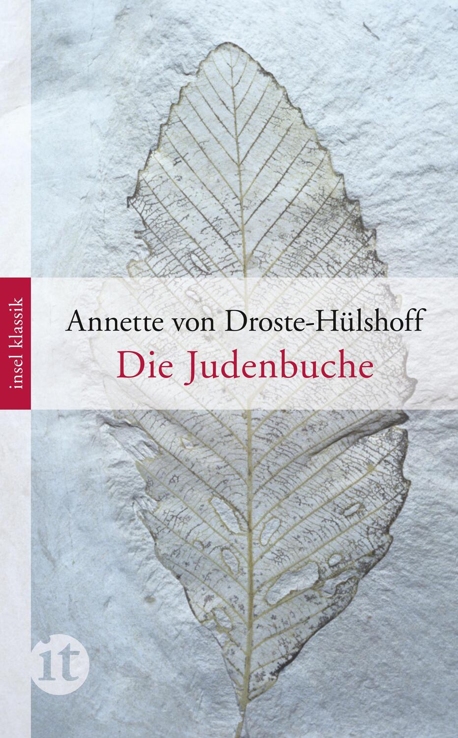 Cover: 9783458362418 | Die Judenbuche | Ein Sittengemälde aus dem gebirgichten Westfalen