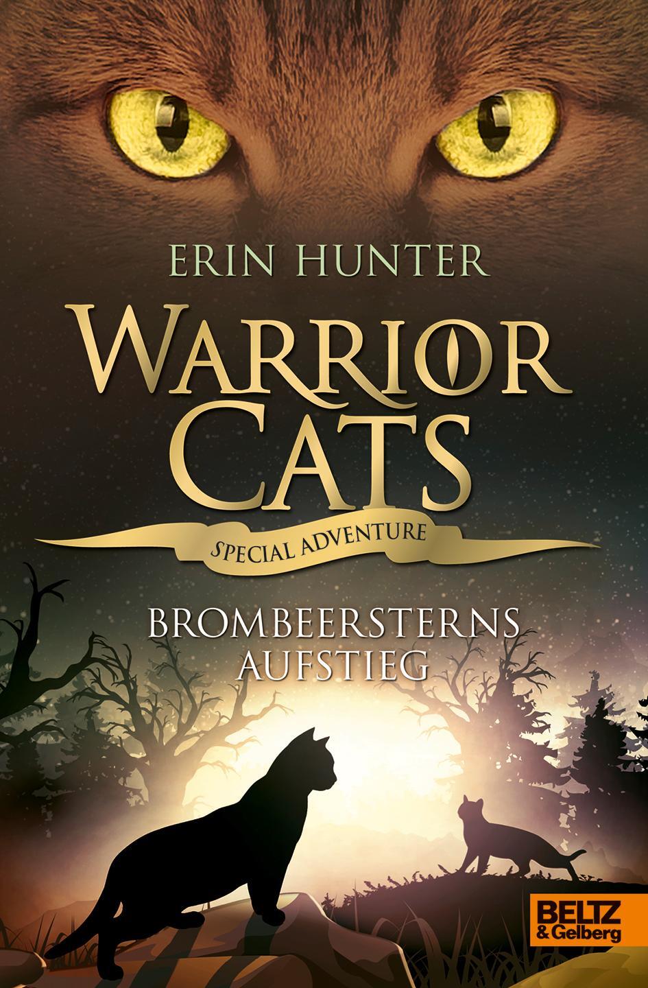 Cover: 9783407822963 | Warrior Cats - Special Adventure. Brombeersterns Aufstieg | Hunter