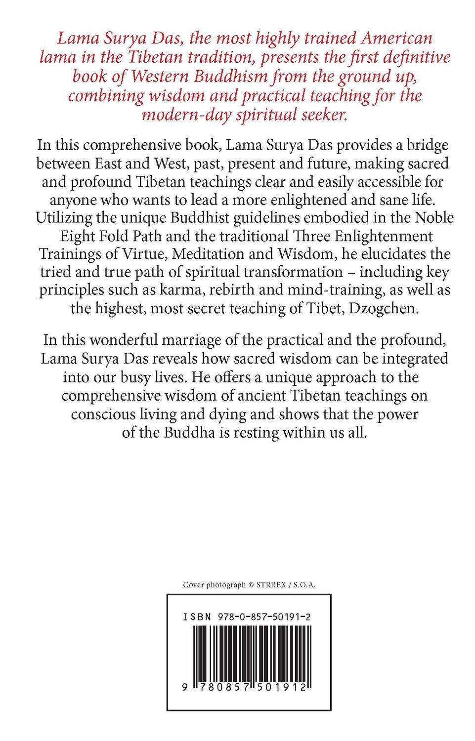 Rückseite: 9780857501912 | Awakening The Buddha Within | Surya Das | Taschenbuch | Englisch