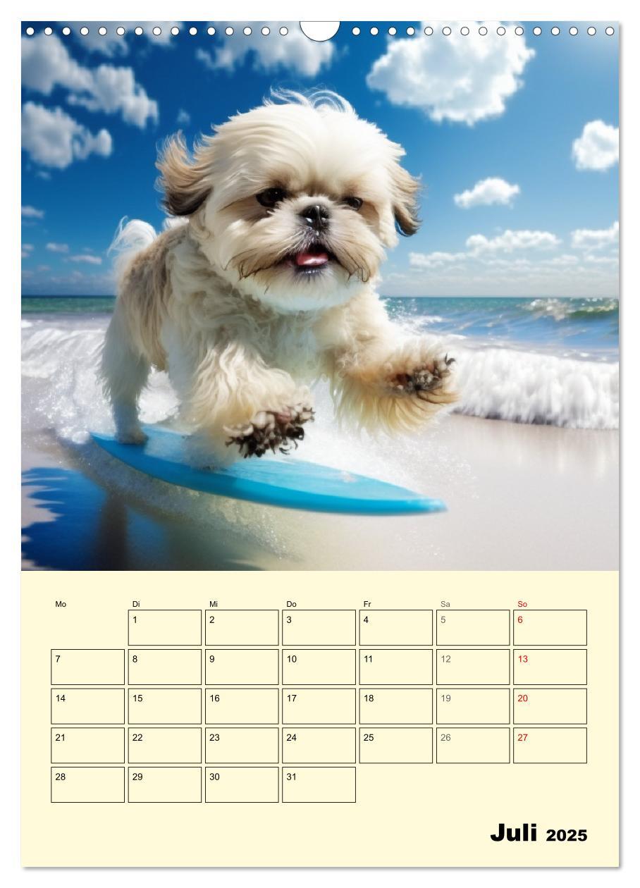 Bild: 9783435873623 | Shih Tzu Alarm. Glückliche Wuschelköpfe (Wandkalender 2025 DIN A3...