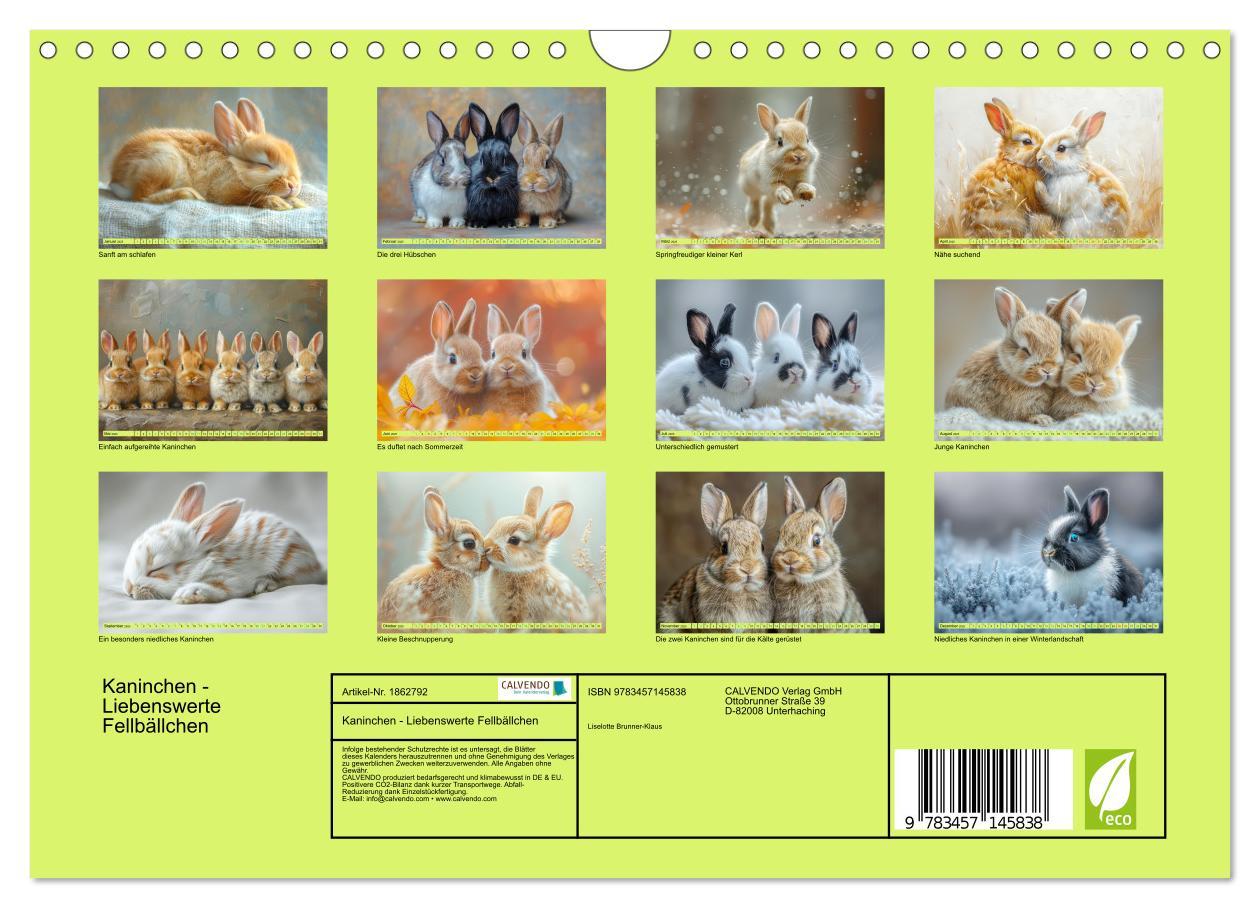 Bild: 9783457145838 | Kaninchen - Liebenswerte Fellbällchen (Wandkalender 2025 DIN A4...