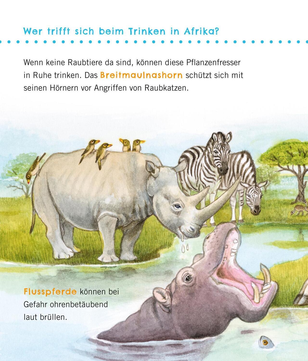 Bild: 9783551036100 | Unkaputtbar: Erstes Wissen: Große Tiere | Petra Klose | Taschenbuch