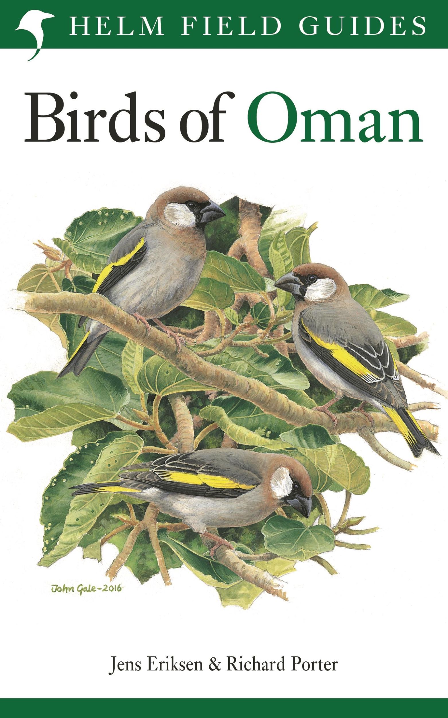 Cover: 9781472937537 | Field Guide to the Birds of Oman | Jens Eriksen (u. a.) | Taschenbuch