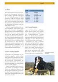 Bild: 9783440116241 | Berner Sennenhund | Auswahl, Haltung, Erziehung, Beschäftigung | Buch