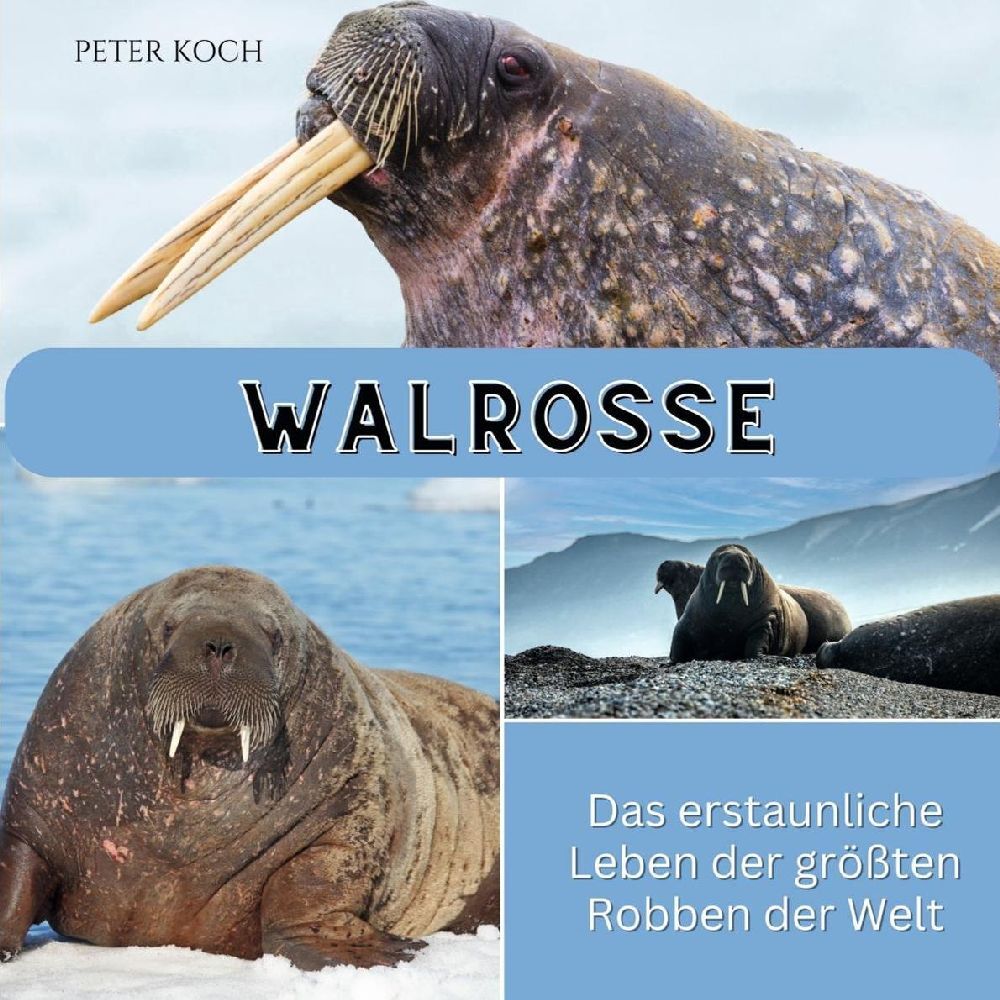 Cover: 9783750563674 | Walrosse | Das erstaunliche Leben der größten Robben der Welt | Koch