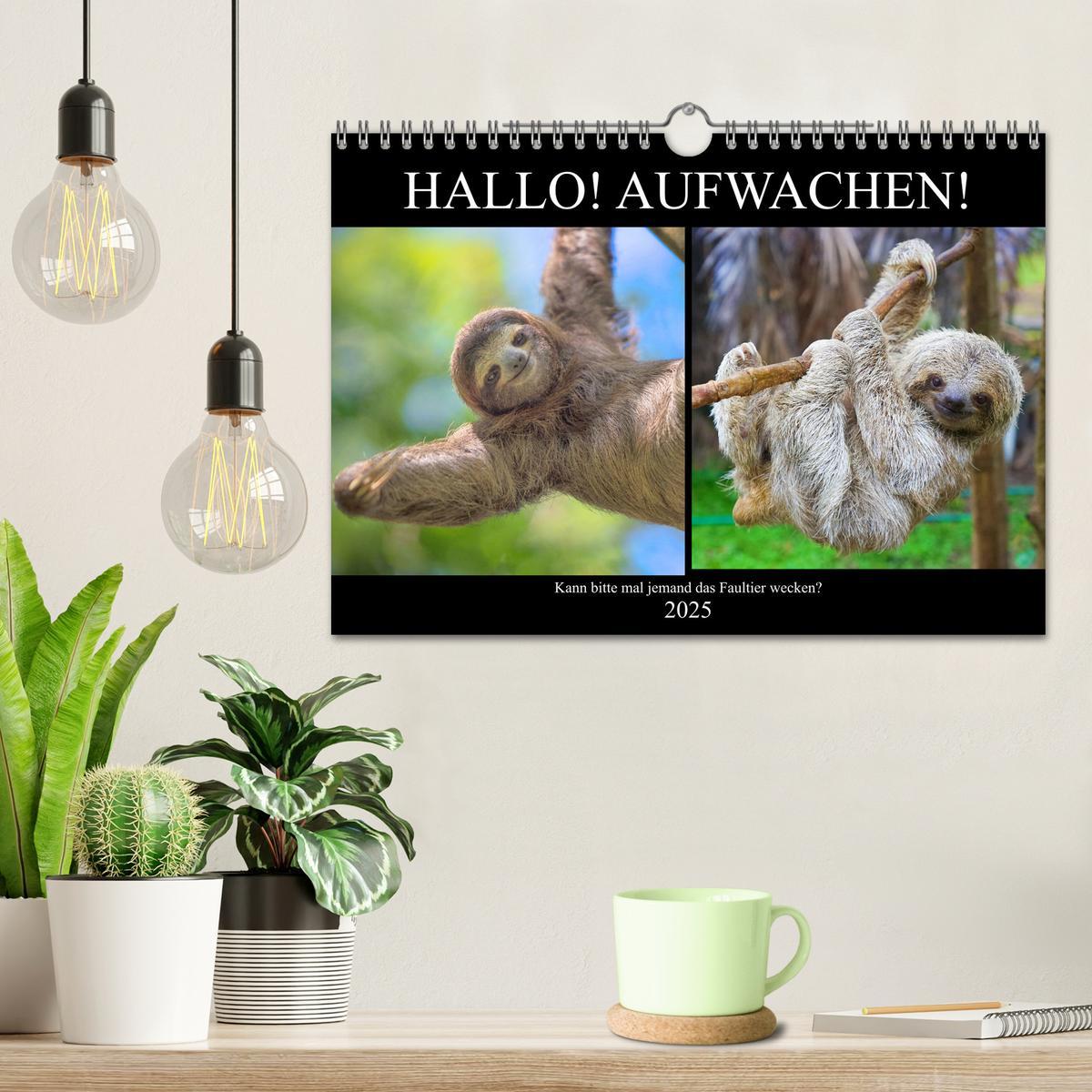 Bild: 9783435302291 | Hallo! Aufwachen! Kann bitte mal jemand das Faultier wecken?...