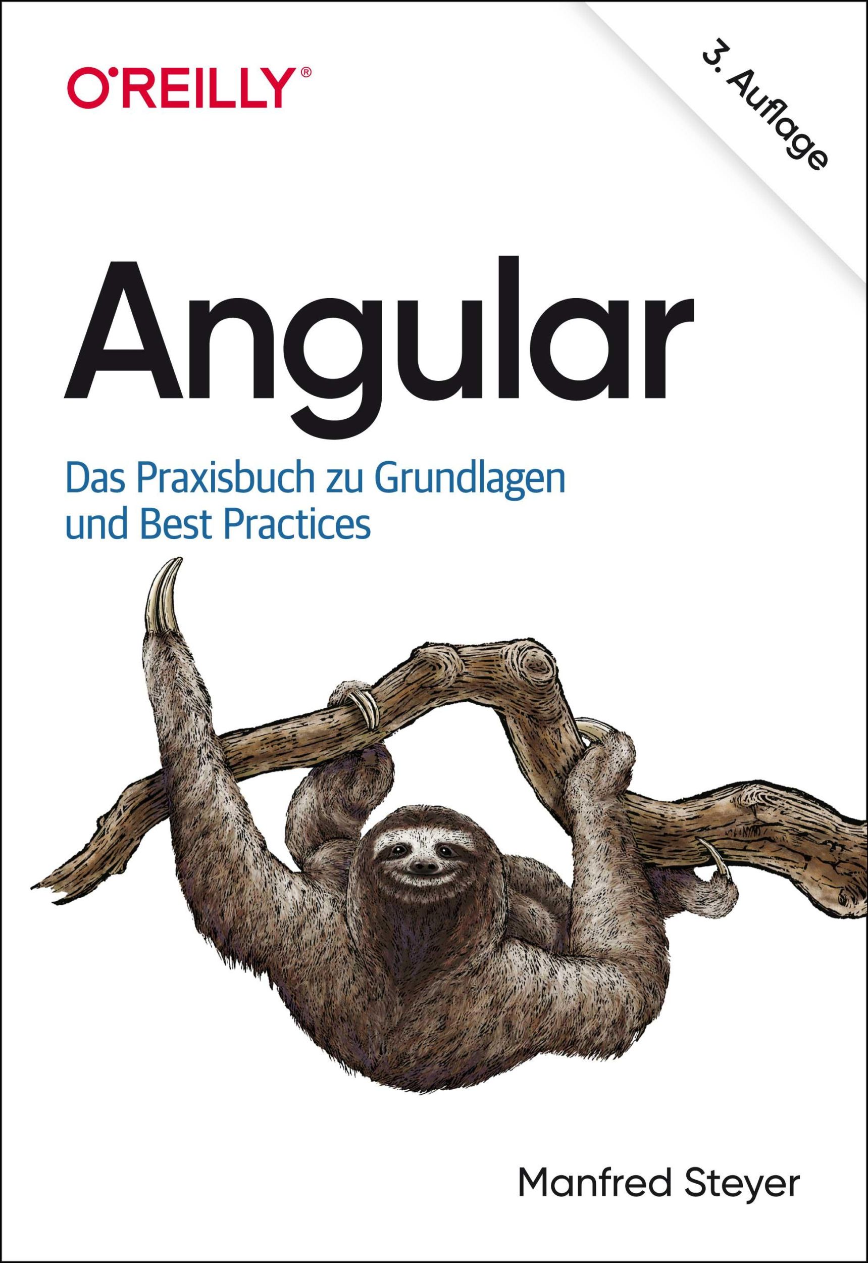 Cover: 9783960091660 | Angular | Das Praxisbuch zu Grundlagen und Best Practices | Steyer