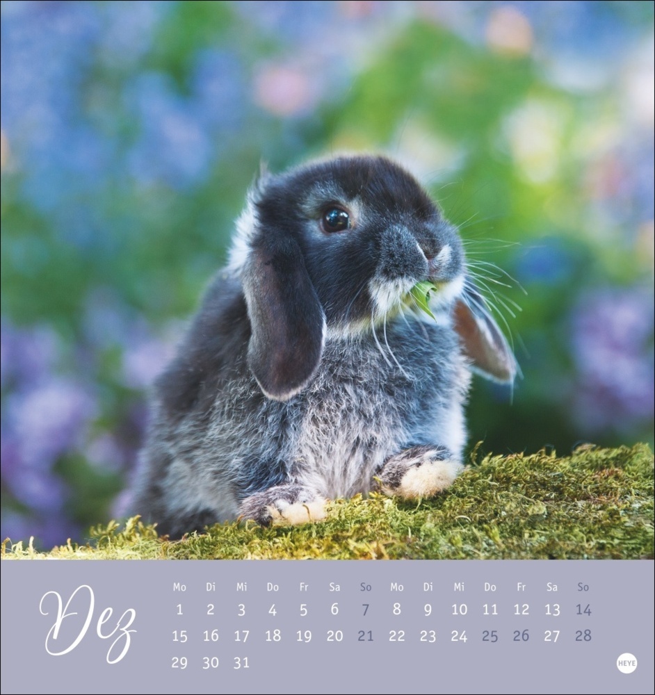 Bild: 9783756407057 | Süße Kaninchen Postkartenkalender 2025 | Monika Wegler | Kalender