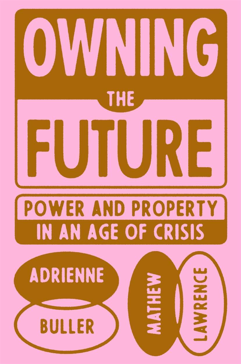 Cover: 9781839765803 | Owning the Future | Power and Property in an Age of Crisis | Buch